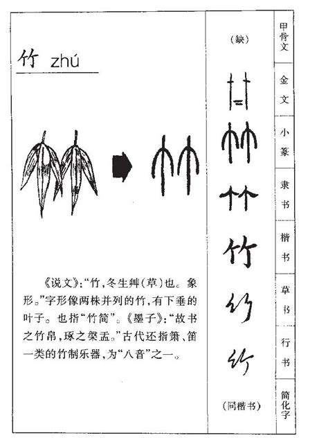 竹 五行|竹字五行属什么